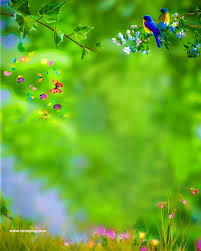 nature lover cb background hd full size