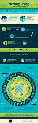 Mercury Rising Enjoy Fish Without The Risk Infographics