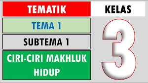 Smoga bermanfaat dan semangat untuk. Revisi Soal Tematik Kelas 3 Tema 1 Subtema 1 Ciri Ciri Makhluk Hidup Youtube