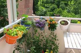 16 Tips For Starting A Balcony Garden