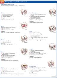 Assessment Of Integumentary Function