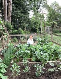 How To Grow Chinese Vegetables The