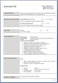 Example Template of an Experienced Chartered Accountant Resume     VisualCV