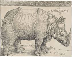 Arriba hay una portada de libro interesante que coincide con el título el rinoceronte libro wikipedia. Rinoceronte De Durero Wikipedia La Enciclopedia Libre