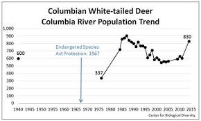 White Tailed Deer Population Chart Related Keywords