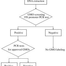 Flow Chart Of Pcr Method For Detection Of Gmo In Foods