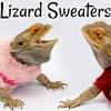 Check out our bearded dragon clothes selection for the very best in unique or custom, handmade pieces from our pet clothing, accessories & shoes shops. Https Encrypted Tbn0 Gstatic Com Images Q Tbn And9gcqde9dwqayjyof0zyuauqkv874wiqmpvunmo2trxyc Usqp Cau