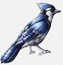 Bird Drawing Blue jay, blue bird, blue, png Material, pencil png | PNGWing