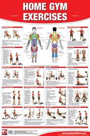 Dumbbell Training Poster Pack 24 95 Fitness Exchange