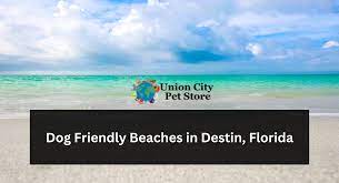 dog friendly beaches in destin florida