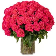 send fresh roses miami gardens florist