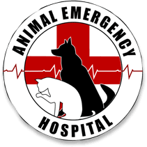 For your assistance, here are few top emergency vets near you that can treat your pet in time. 24 7 Emergency After Hours Vet In Flint Animal Emergency Hospital