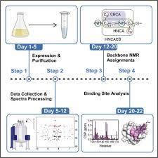 solution nmr spectroscopy