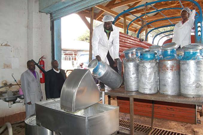 Row as Uganda protests milk seizures by Kenya - The EastAfrican
