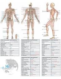 Pin On Hidow Powered Muscle Stimulator