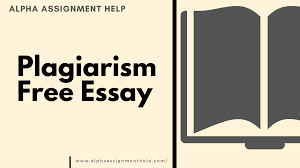 The toulman style adds a claim with the. Write My Essay Bot Essay Typer And Essay Bot