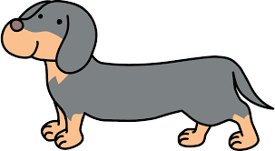 4,399 dachshund clip art images on gograph. Dachshund Dog Clipart Free Download Transparent Png Creazilla