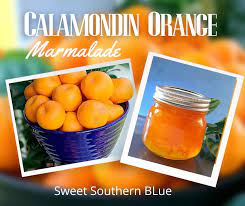 making calamondin orange marmalade