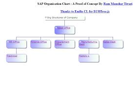 Sap Hr Organizational Chart A Proof Of Concept Using Bsp