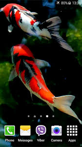 koi by jacal video live wallpapers live