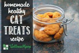 healthy homemade cat treats recipe