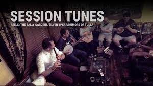 session tunes the sally gardens