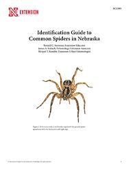 Identification Guide To Common Spiders In Nebraska Ec1590