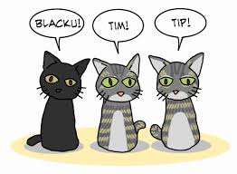 Pernahkah anda mendengar tentang mitos kucing 3 warna jantan ?, banyak orang percaya bahwa kucing yang memiliki 3 jenis warna ini memiliki banyak misteri lho !! Cerolian Aku Dan 3 Anak Kucing