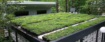 The Benefits Of Using Green Roofs