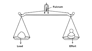 beam balance used to measure the mass