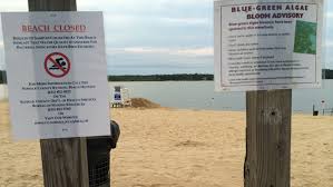 Lake Ronkonkoma Can Government Clean
