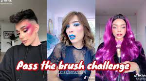 p the brush challenge tiktok