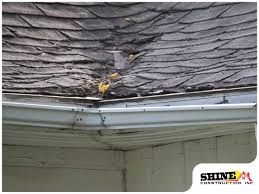 common causes of a sagging roof and how