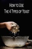 Which type of yeast is best for bread?