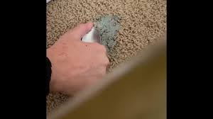removal of thinking putty from carpet