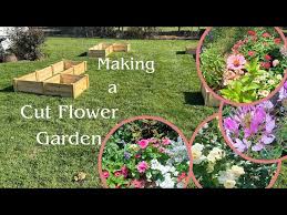 Creating A Raised Bed Cut Flower Garden