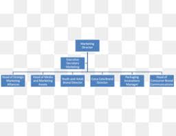 Free Download Organizational Chart Document Png