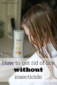 get rid of lice with tea tree oil
