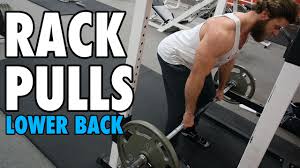 back exercises for building muscle