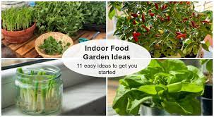 Indoor Food Garden Ideas 11 Easy
