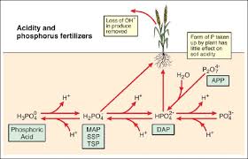 Fertilizers And Soil Acidity Mosaic Crop Nutrition