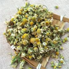 We did not find results for: China Yang Gan Ju Herbal Flower Dried Chamomile Camomile Flowers For Tea China Matricaria Recutita Anthemis Nobilis