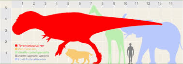 Tyrannosaurus Rex Size Comparison Dinochecker Dinosaur Gallery