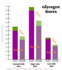 Carbohydrates are stored in fhe kiver and musc in the form of : Week 5 Glycogen Storage Depletion And Repletion Physicalrules Com