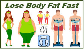 6 proven tips to lose body fat fast