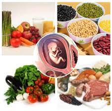 Tapi, sudahkah kamu tahu apa saja makanan yang mengandung protein tinggi? Makanan Yang Mengandung Protein Untuk Ibu Hamil Makanan Ku