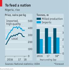 Nigeria Hopes High Tariffs Will Make It Grow More Rice