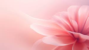 minimalist pink flower