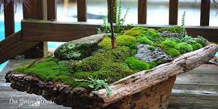 6 Best Ideas For Making Moss Garden Indoors