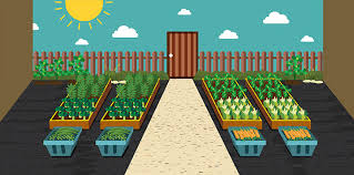 How To Plant A Rooftop Garden Gardening